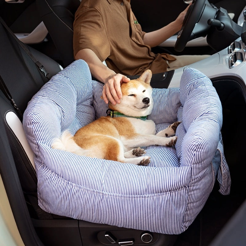PetCozy Elevated Travel Booster Car Seat