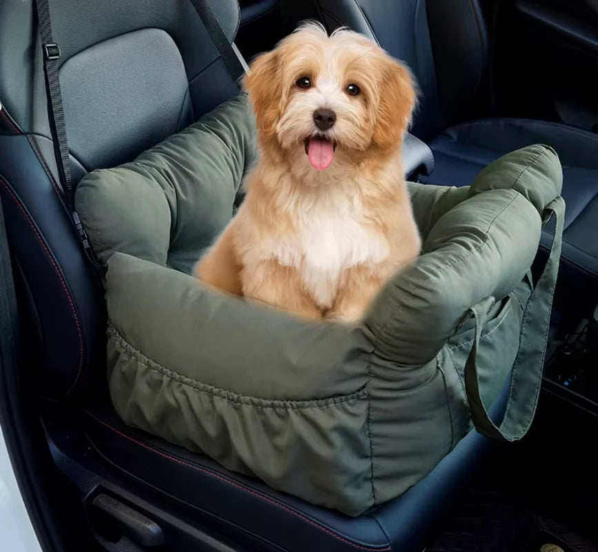 <p><span class="metafield-multi_line_text_field">From Tense Rides to Tail-Wagging Trips</span></p>