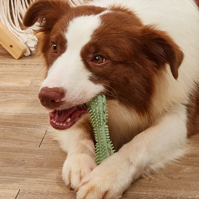 CalmChew Dental Toy For Pets