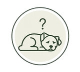 3. Restore Calm & Comfort
