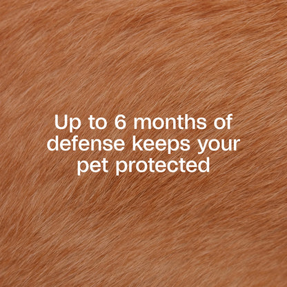 Flea & Tick Collar plus for Dogs & Puppies, 2 Pack, 12 Month Protection, Adjustable One Size, Kills Fleas, Ticks & Repels Mosquitoes, excluding California