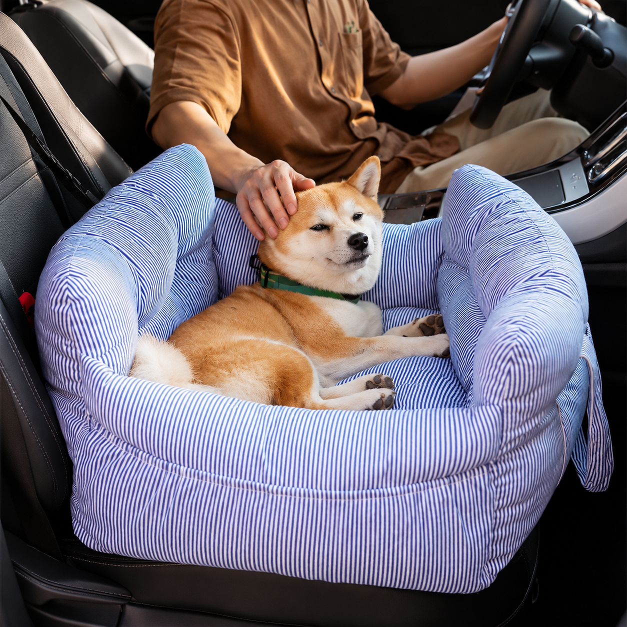 PetCozy Elevated Travel Booster Car Seat