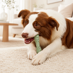 PetCozy Calm Chew Dental Toy For Pets